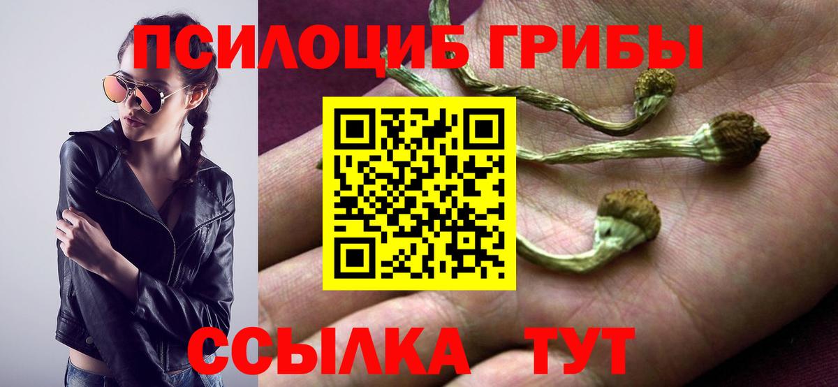 Химки  Галлюциногенные грибы ЛСД  Вход с VPN 